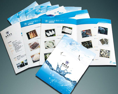 說明書(shu)畫冊