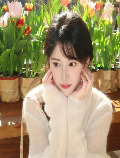 《鲨鱼故事》全方位解析：剧情、人物、主题三位一体，经典重现